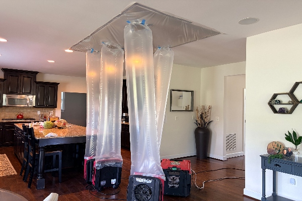 Repairs and Restoration
